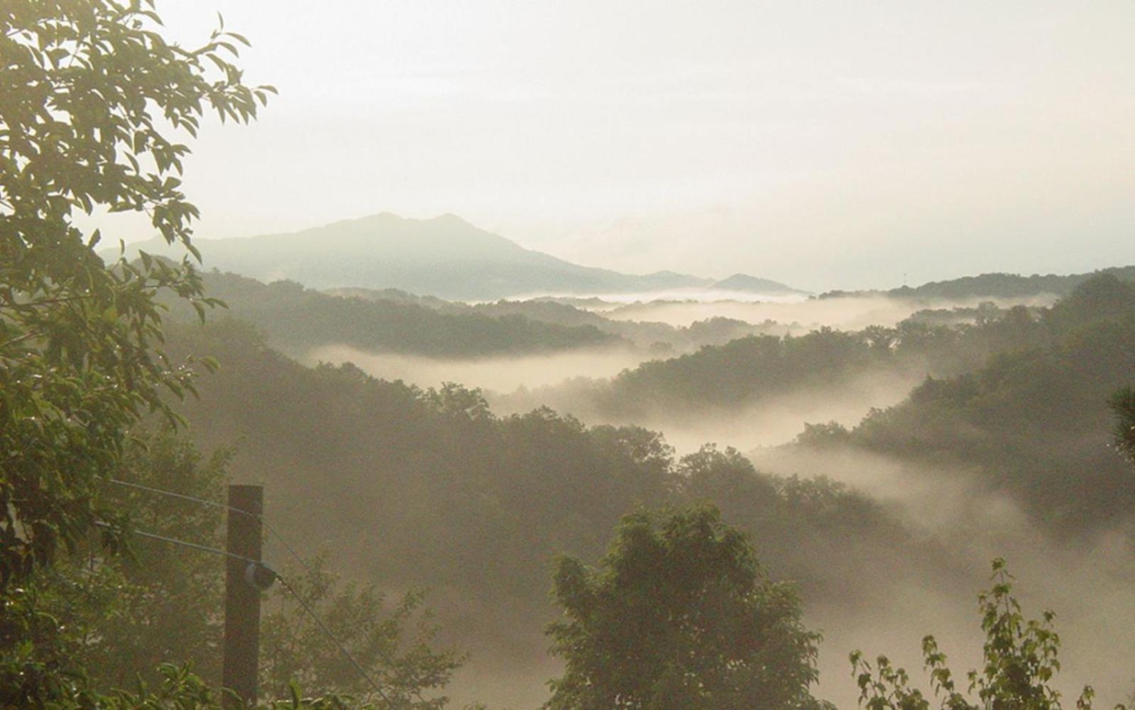Bella Vista Villa พิเจนฟอร์จ ภายนอก รูปภาพ